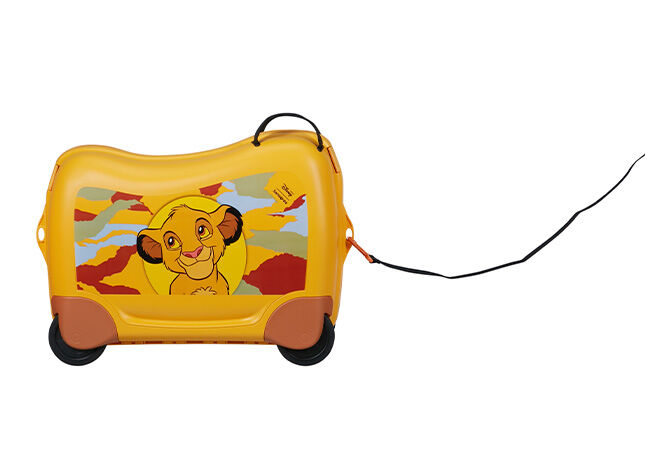 Wielofunkcyjna smycz