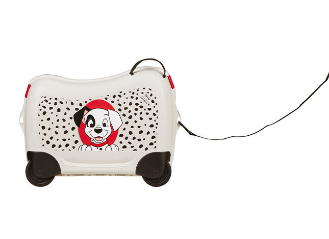 Wielofunkcyjna smycz