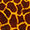 Giraffe G. Giraffe G.