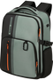 Samsonite Biz2go BP Daytrip 15.6'  Sage